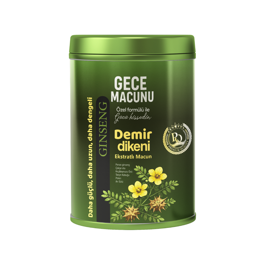 Gece Macunu